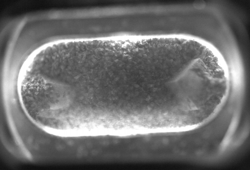 Image of the sample with the lunar regolith simulant, with two cube-shaped piezo elements. 