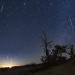 Meteor showers when can you see the most active ones